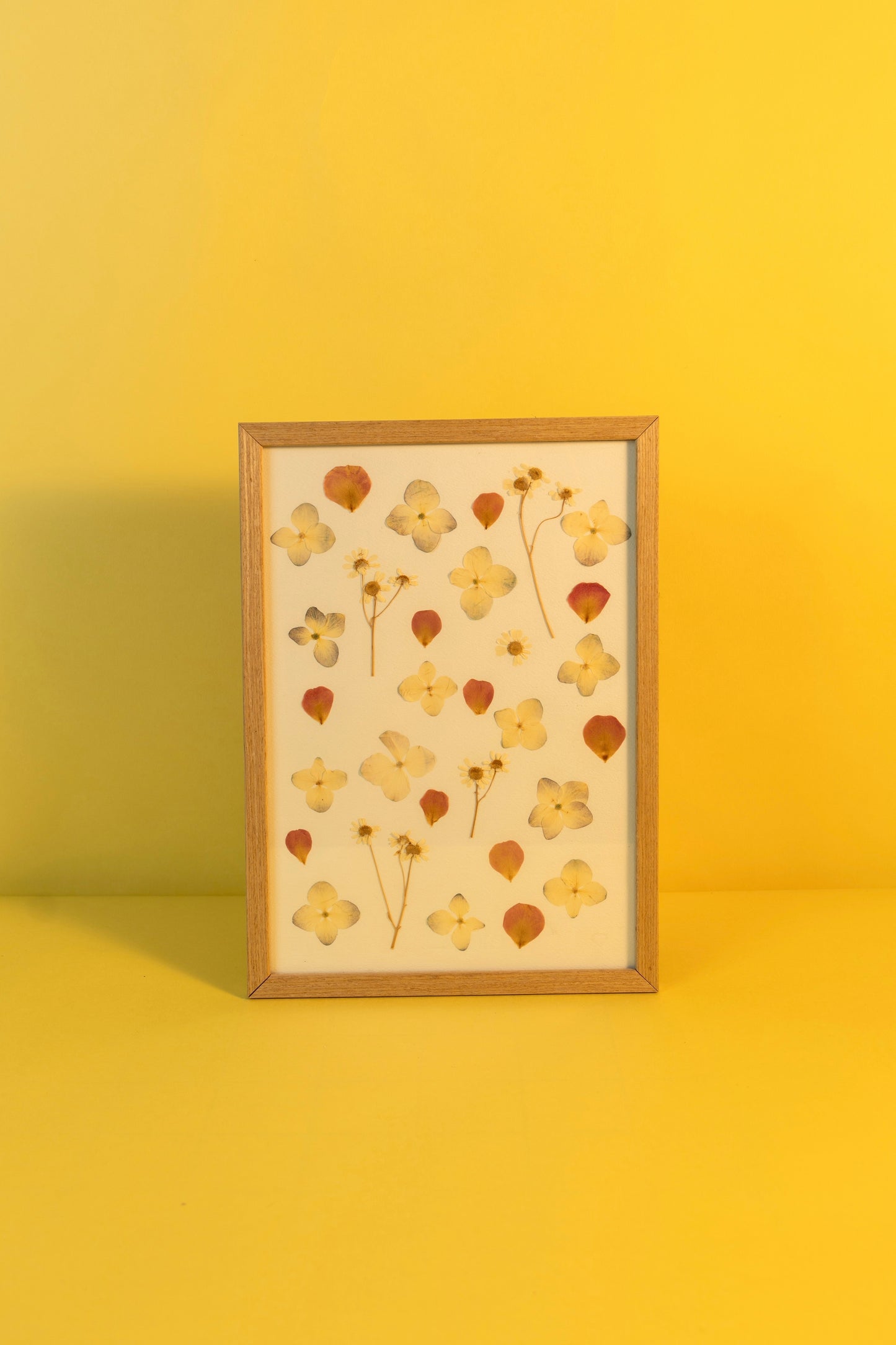 Petals in Frame