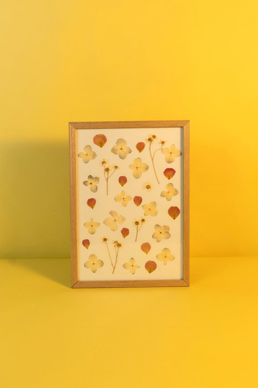 Petals in Frame