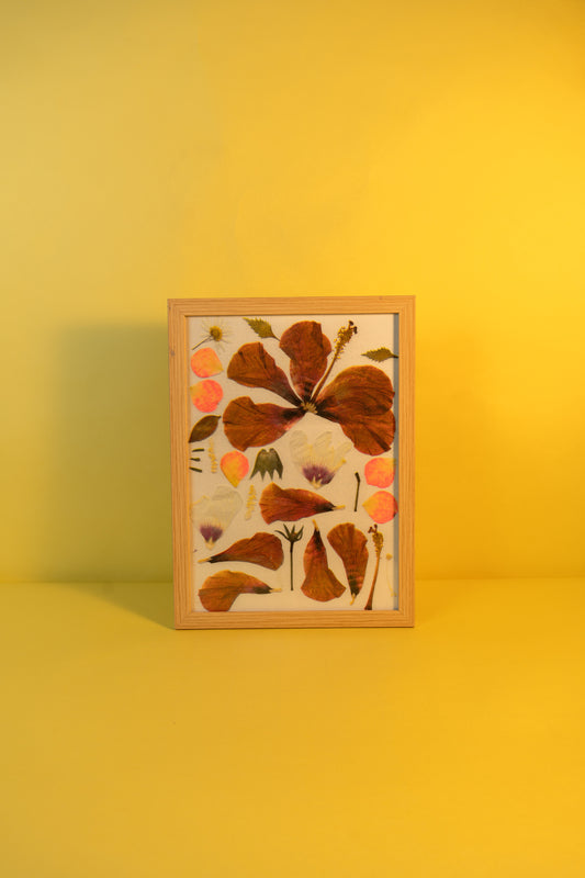 Hibiscus Flower Poster (A3)
