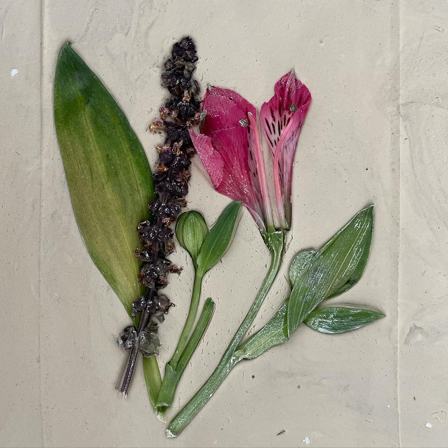 Floral Fossil Workshop