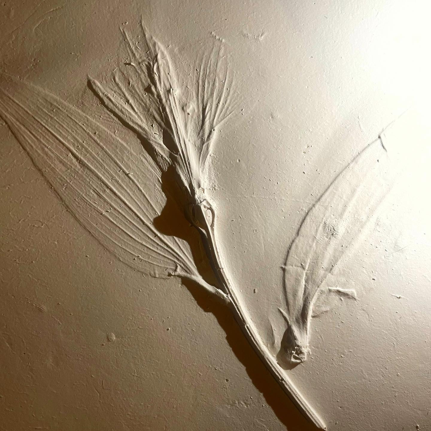 Floral Fossil Workshop
