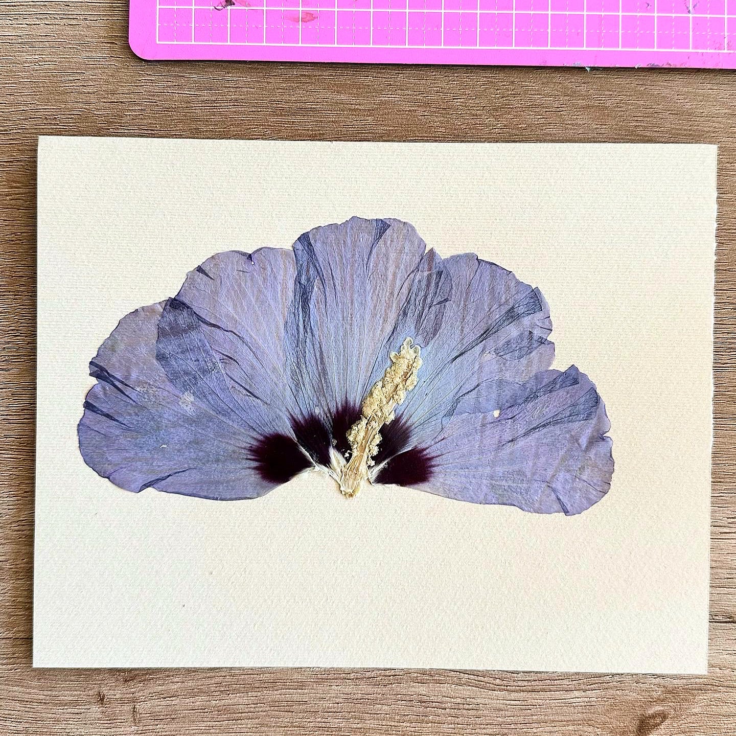 Art with Dried Flowers - الفن مع الورد المجفف