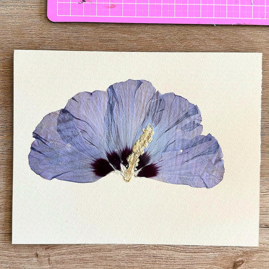 Art with Dried Flowers - الفن مع الورد المجفف