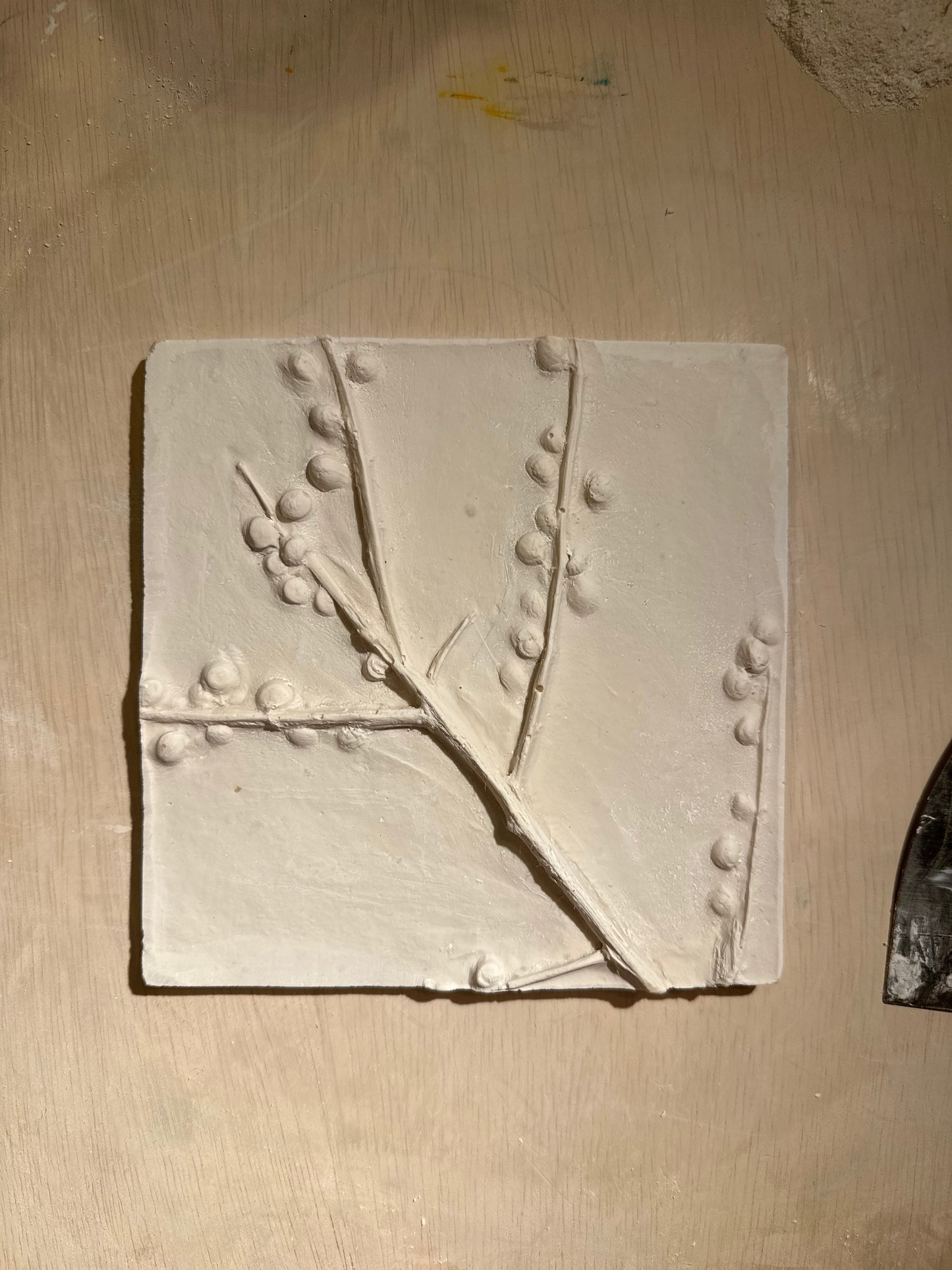 Floral Fossil Workshop