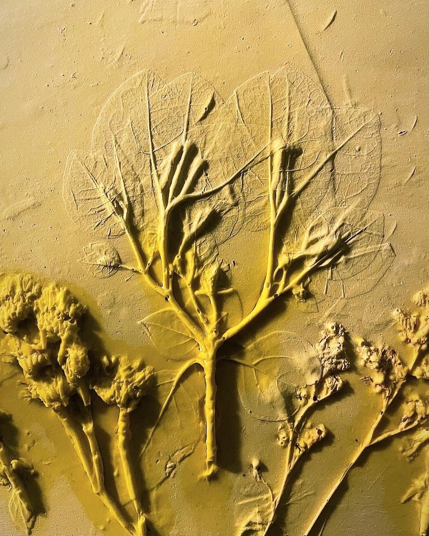 Floral Fossil Workshop