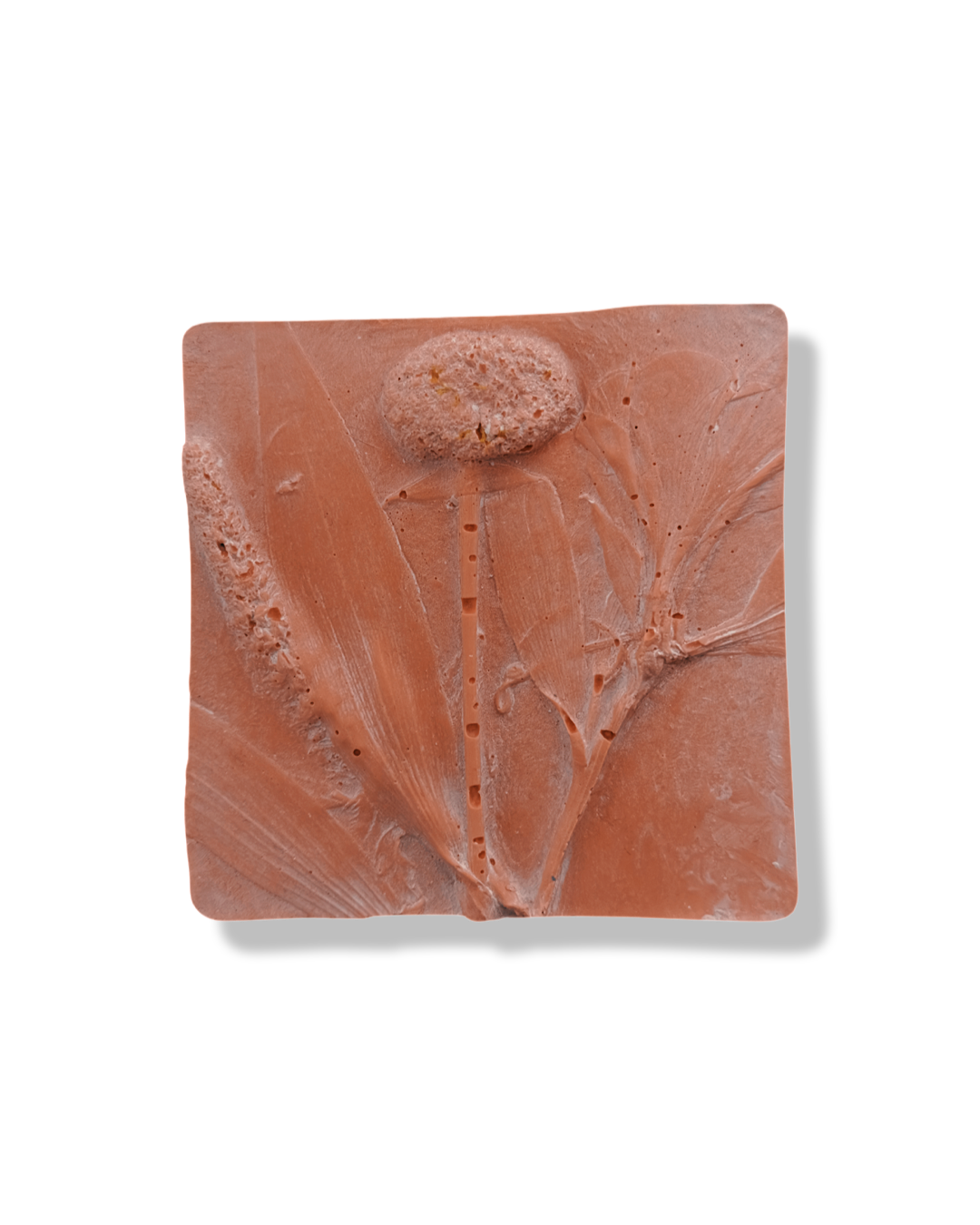 Floral Fossil Workshop