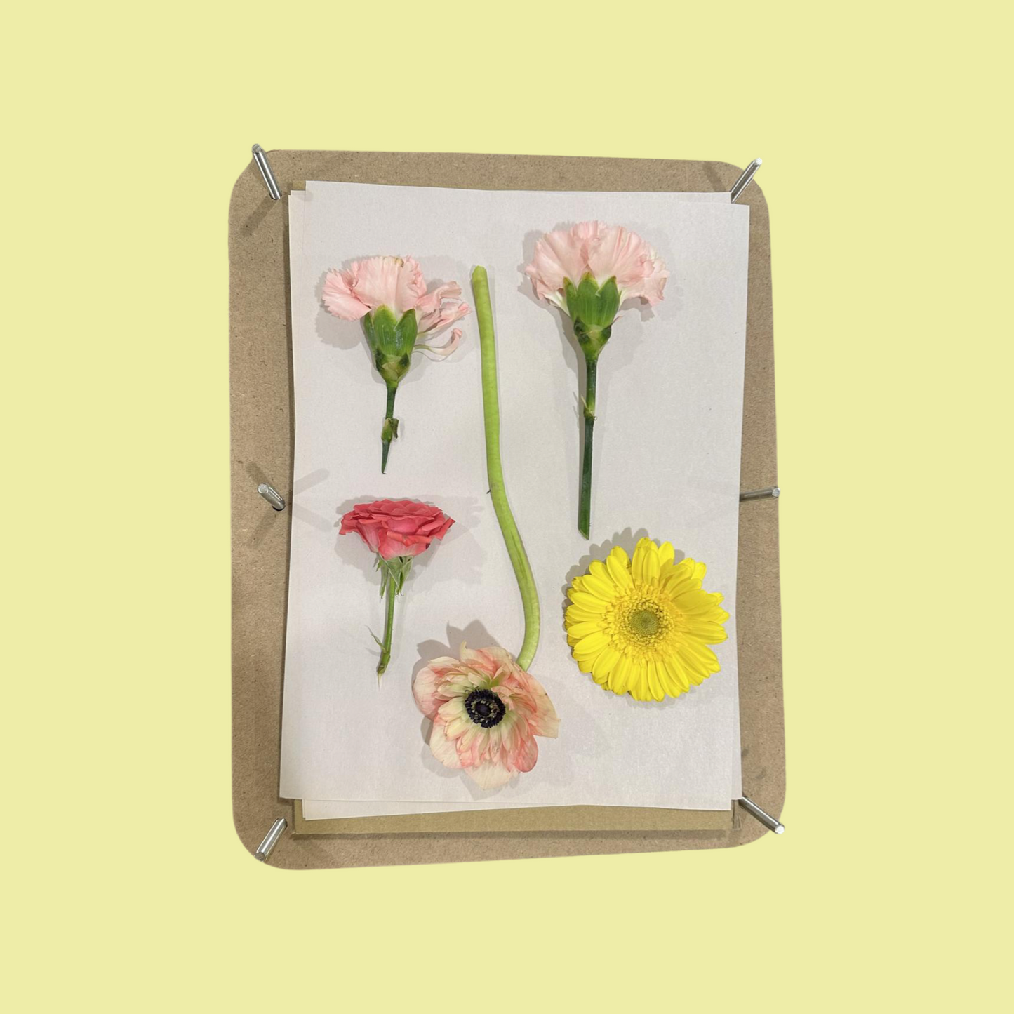 The Drying Kit - Floral Drying Press