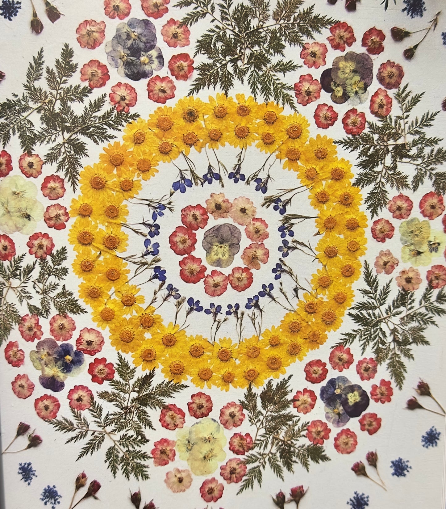 Art with Dried Flowers - الفن مع الورد المجفف
